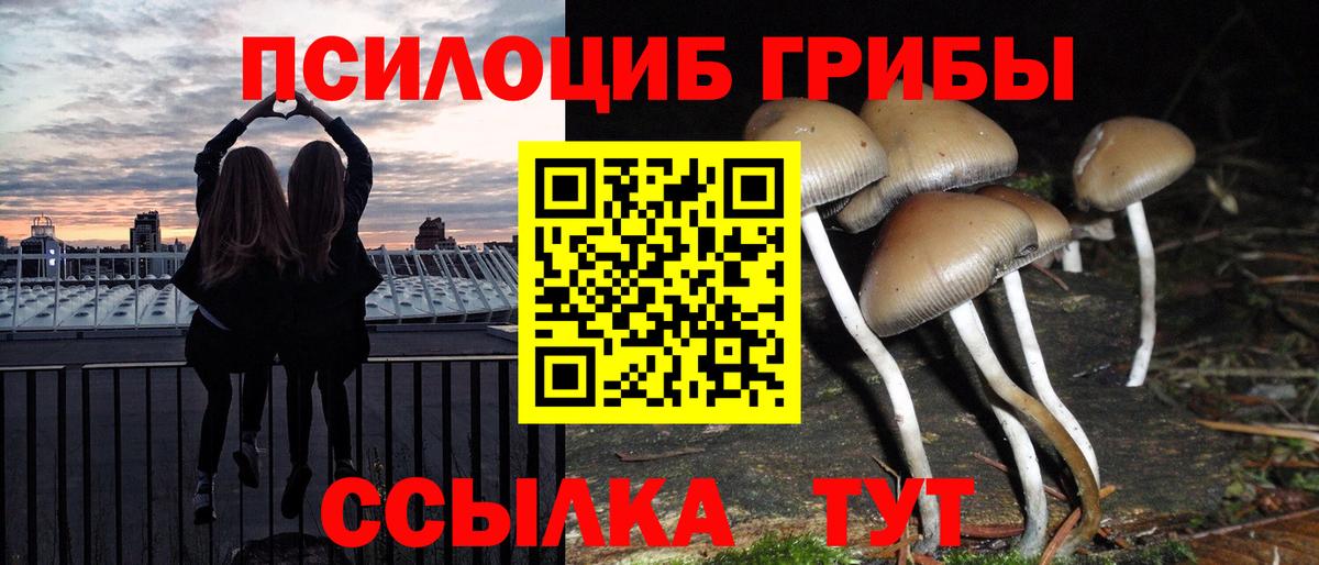Псилоцибиновые грибы ЛСД Котлас