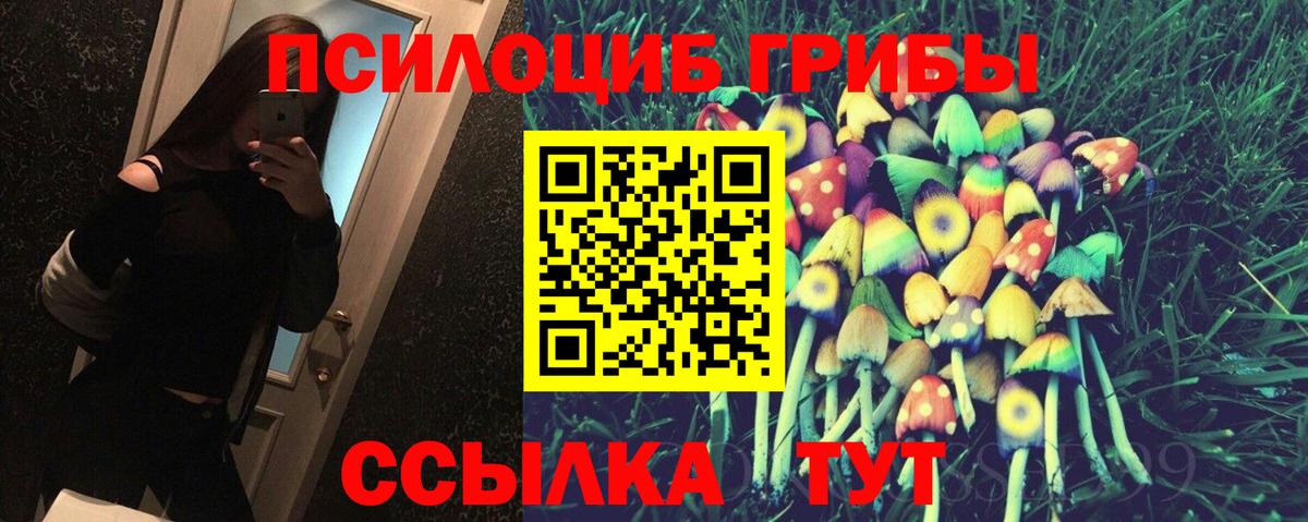 Галлюциногенные грибы Magic Shrooms  Галлюциногенные грибы GOLDEN TEACHER  Котлас  Вход с VPN 